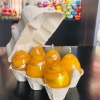 Boite de 6 oeufs Jaunes